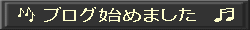 🎶 ブログ始めました  ♬ 